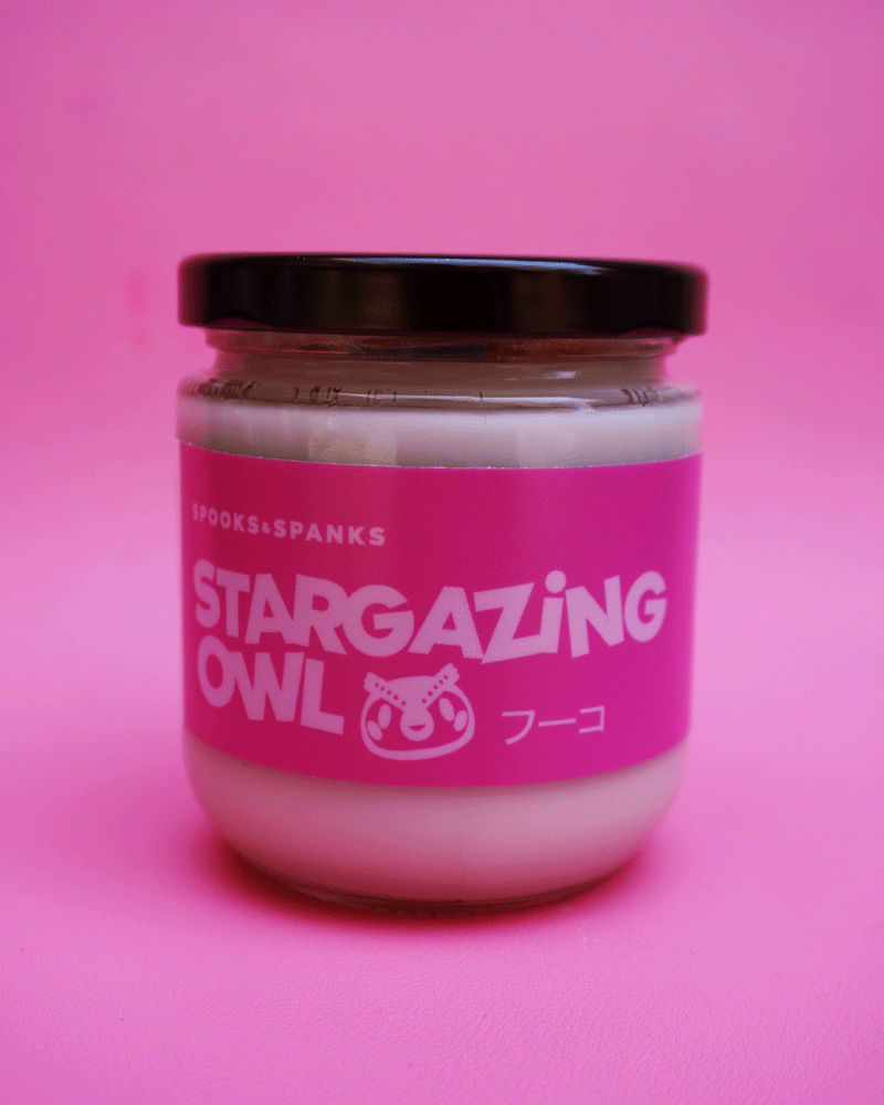 Stargazing Owl Charmed Candle - Violet + Bergamot